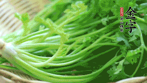 挑選鮮嫩的香菜，洗干凈后，處理成小段。